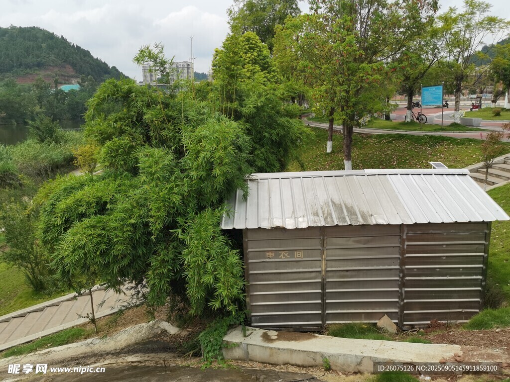 鄉(xiāng)村小屋旁的蔥郁綠植