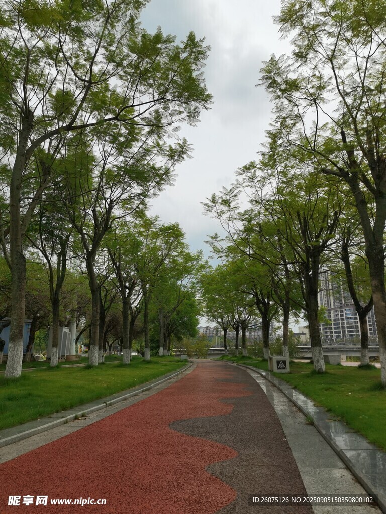林蔭下的紅色步道