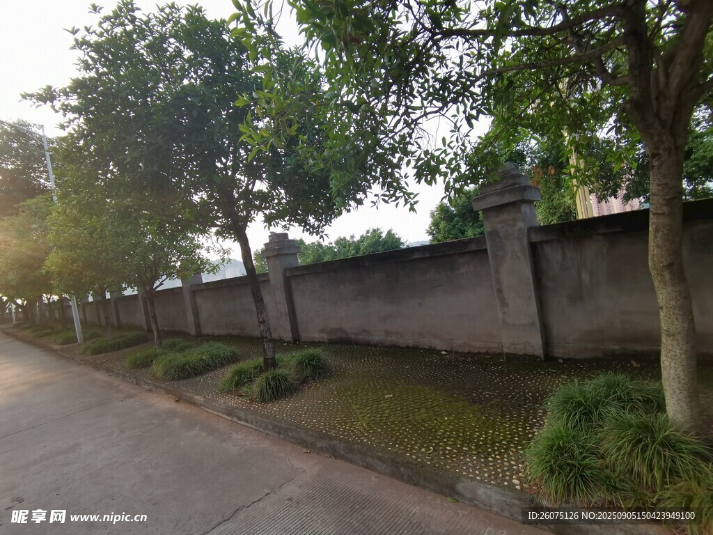 路邊圍墻旁的綠樹景觀