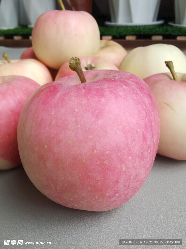 粉嫩誘人的新鮮蘋果