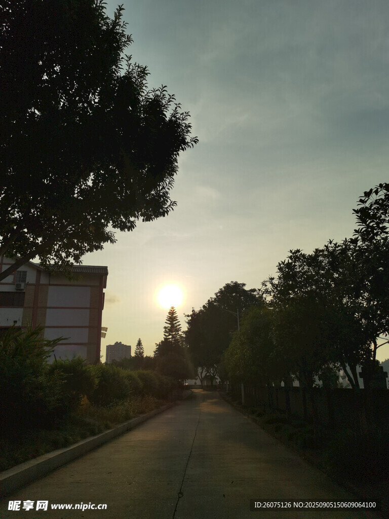 黃昏時(shí)分的林蔭道路