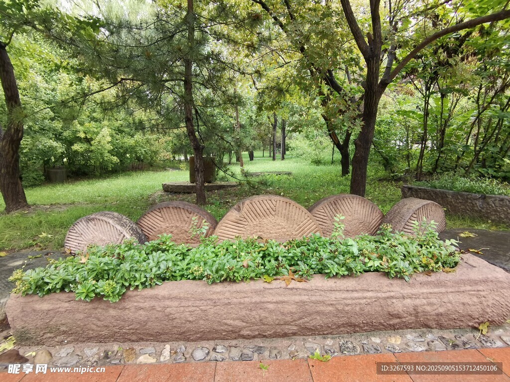 林間石景自然靜謐景致