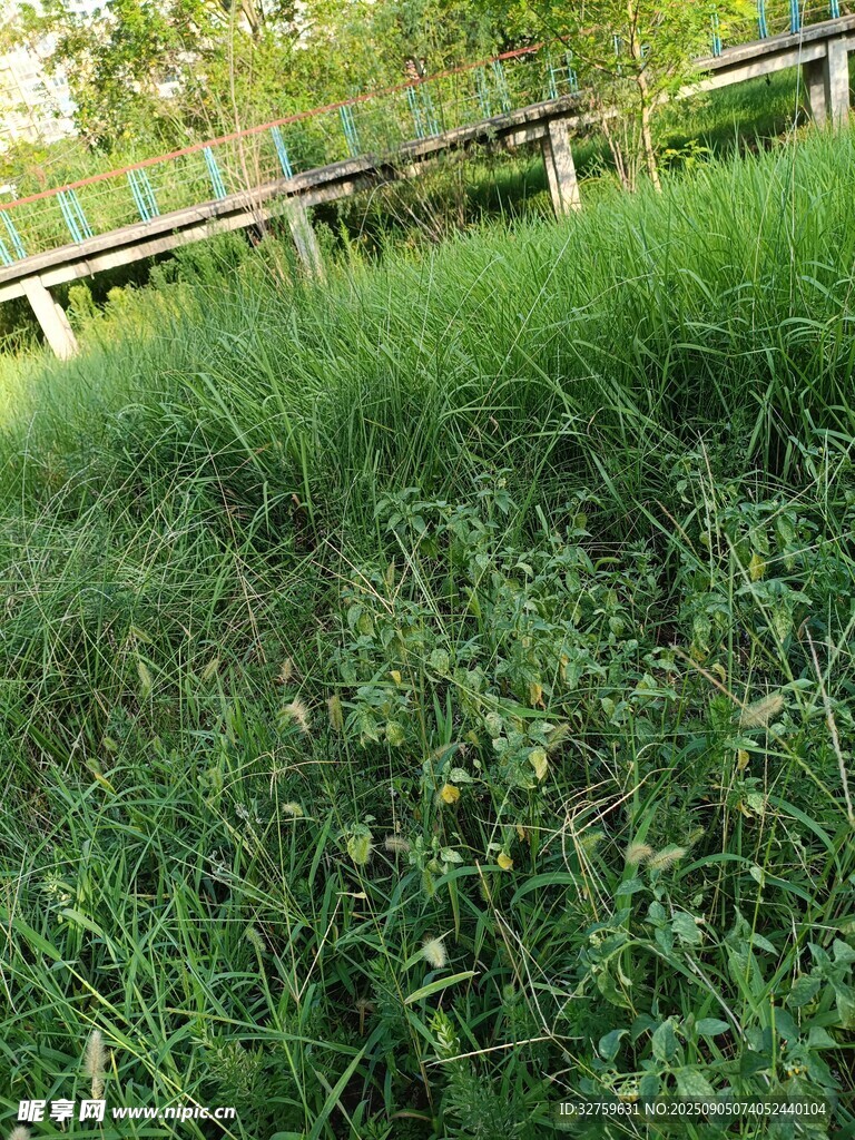 戶外草地與木質(zhì)圍欄景觀