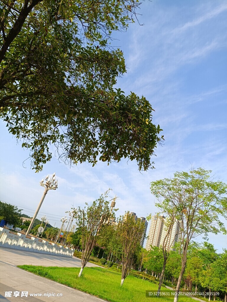 城市公園綠意盎然景致