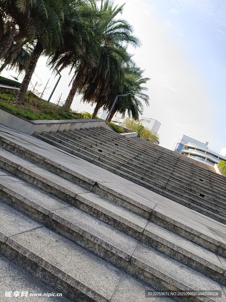 戶外石階旁的棕櫚樹景觀
