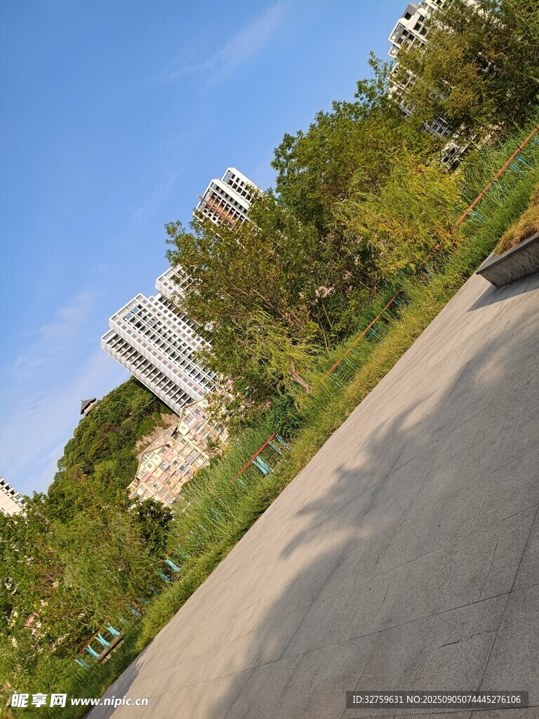 城市道路旁的綠植與建筑