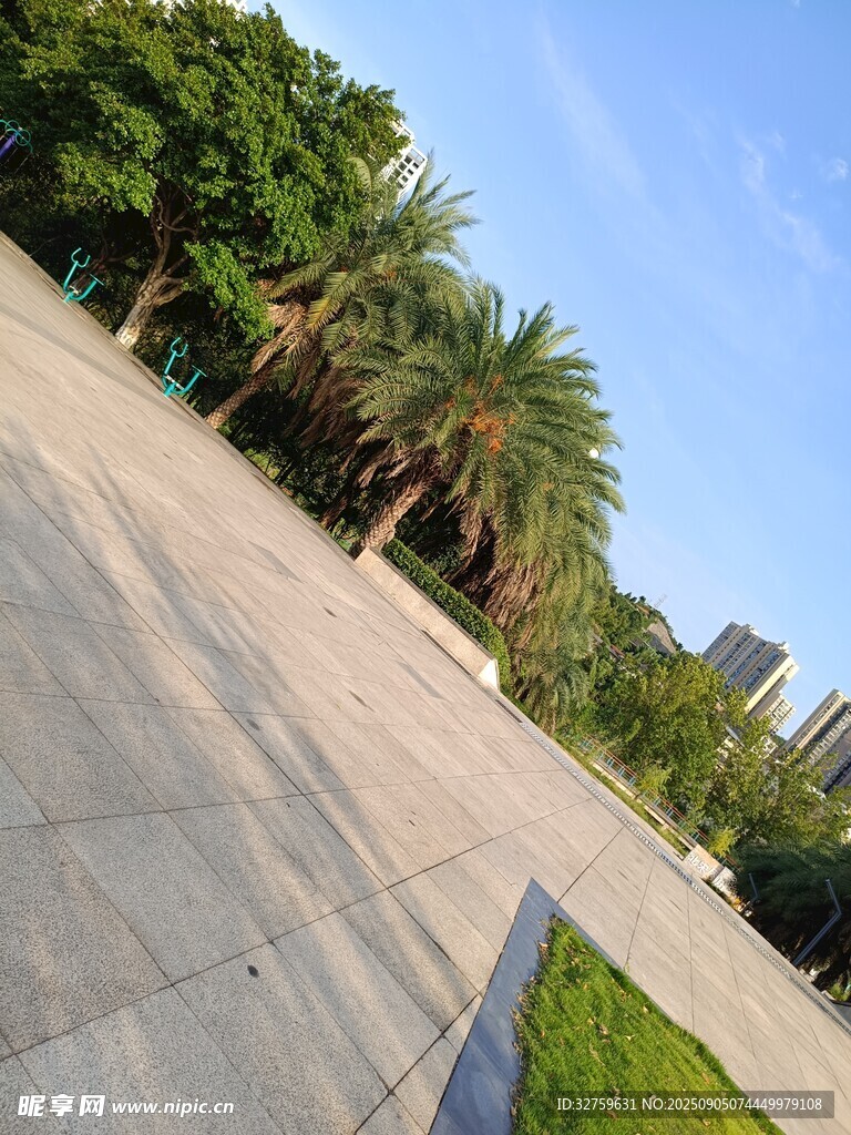 城市中的開闊林蔭廣場