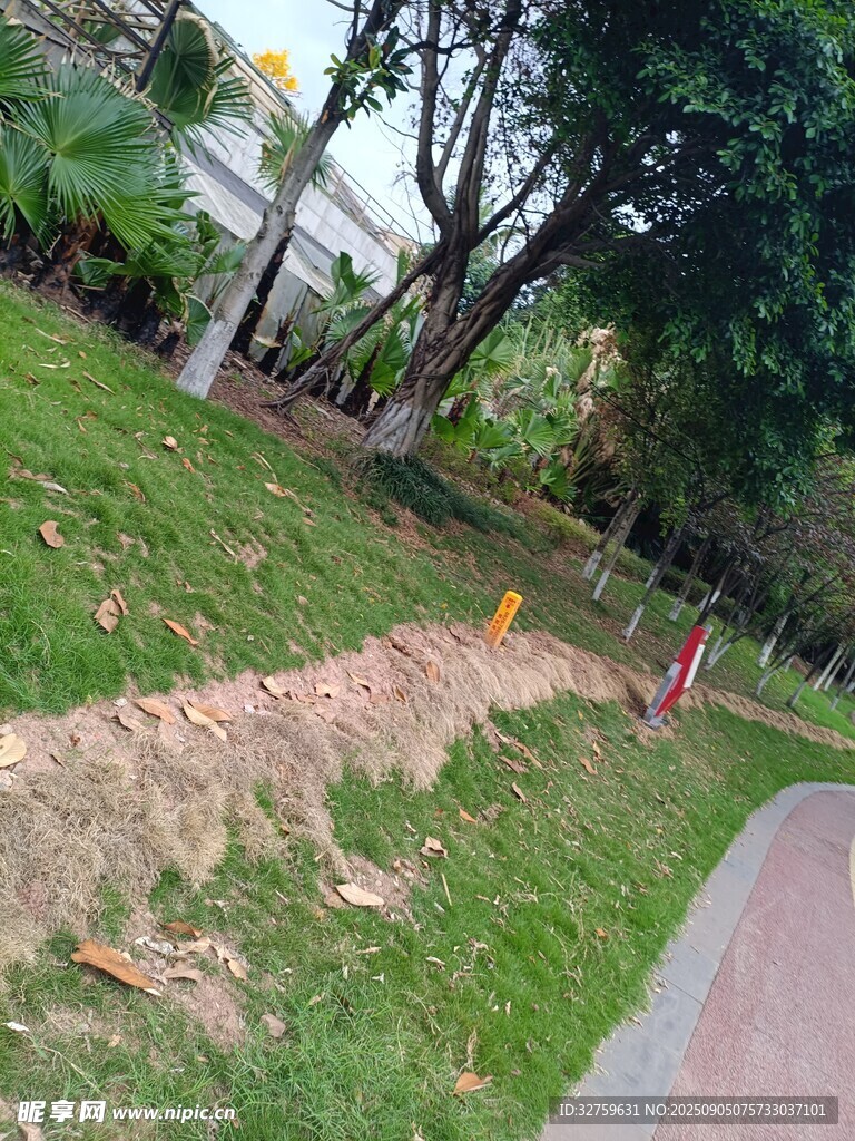 公園草地旁的施工土堆