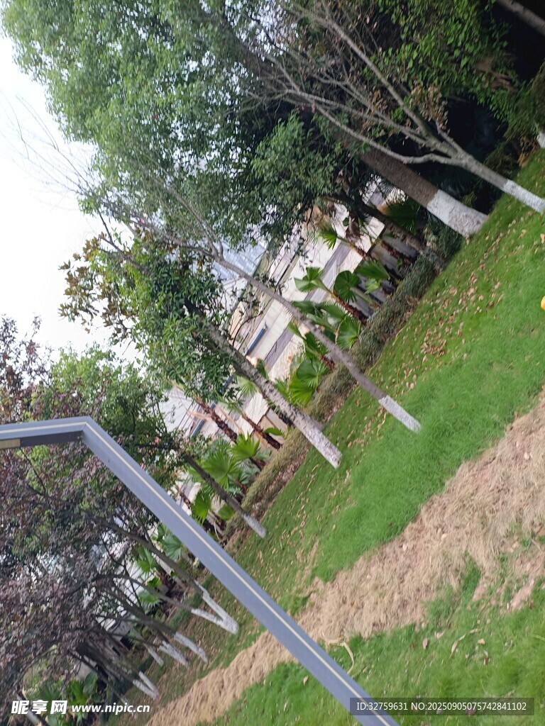 戶外綠植環(huán)繞的休閑場(chǎng)景