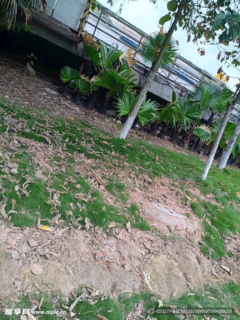 戶外草地及周邊景象