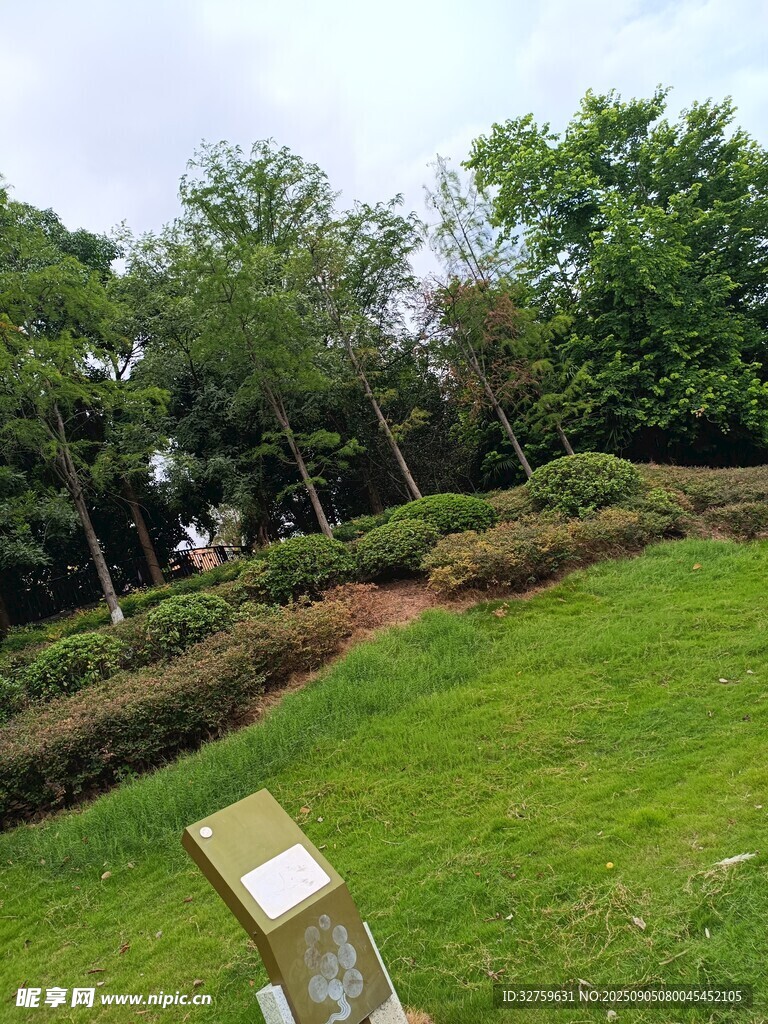 綠意盎然的公園景觀
