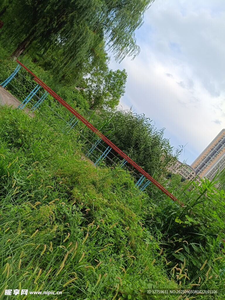 戶外繁茂綠植場(chǎng)景