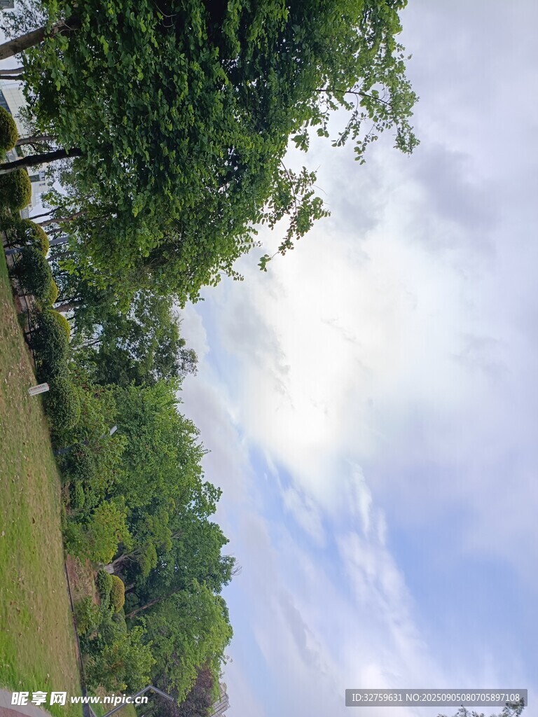夏日林間天空美景