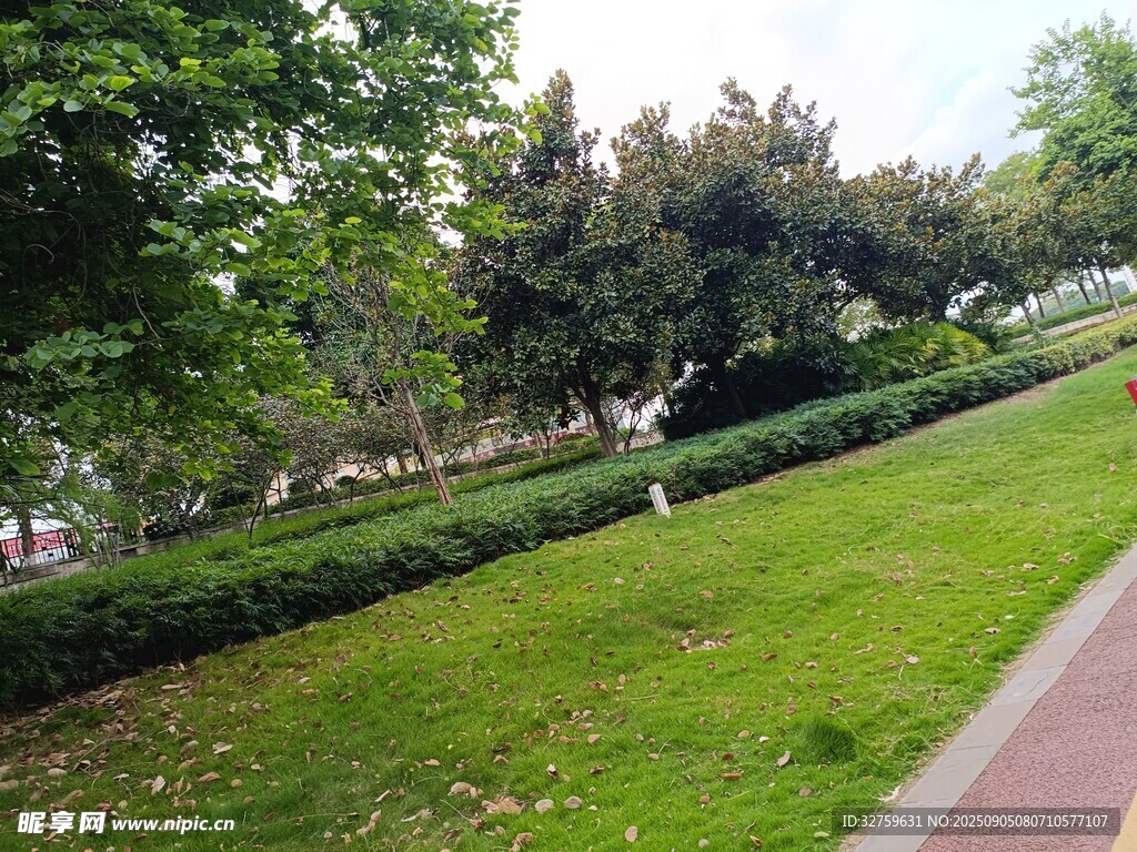 公園綠意小徑風(fēng)景