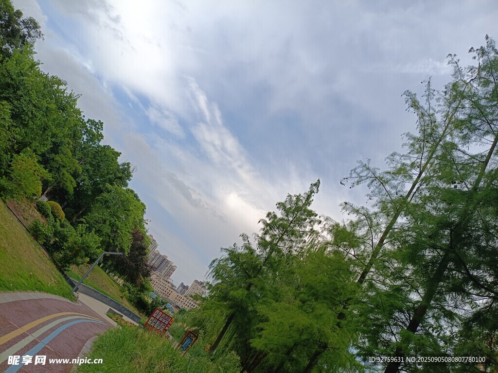 山間蜿蜒公路與蔥郁綠樹