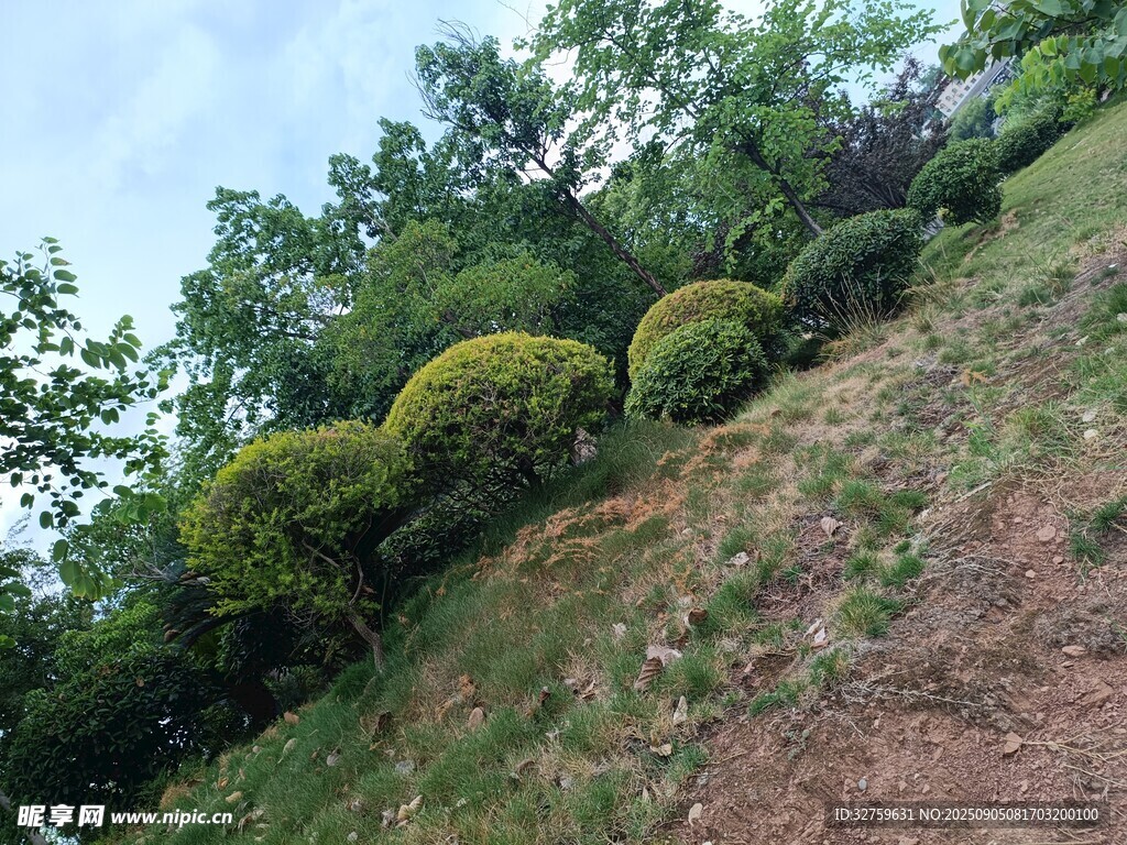 山坡上的球形綠植景觀