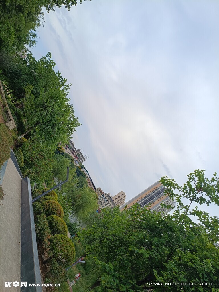 綠樹環(huán)繞的戶外景致