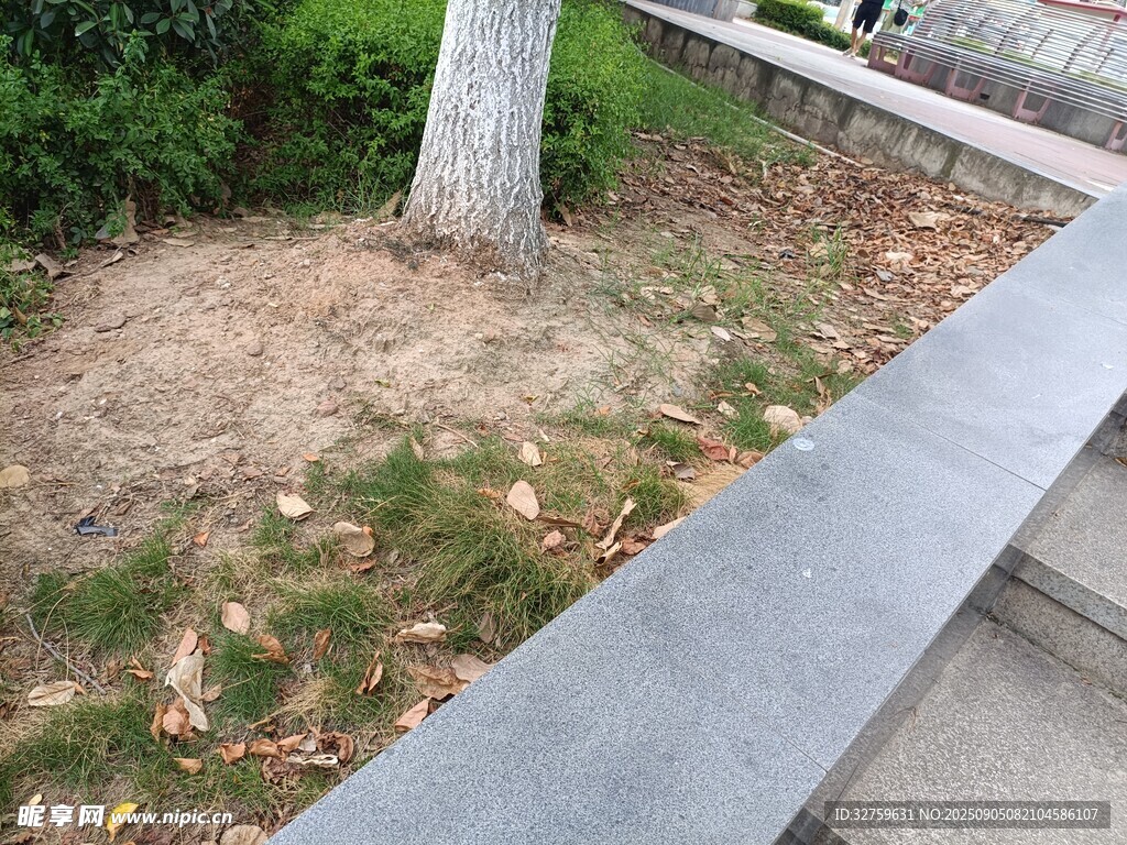 路邊樹下的斑駁地面