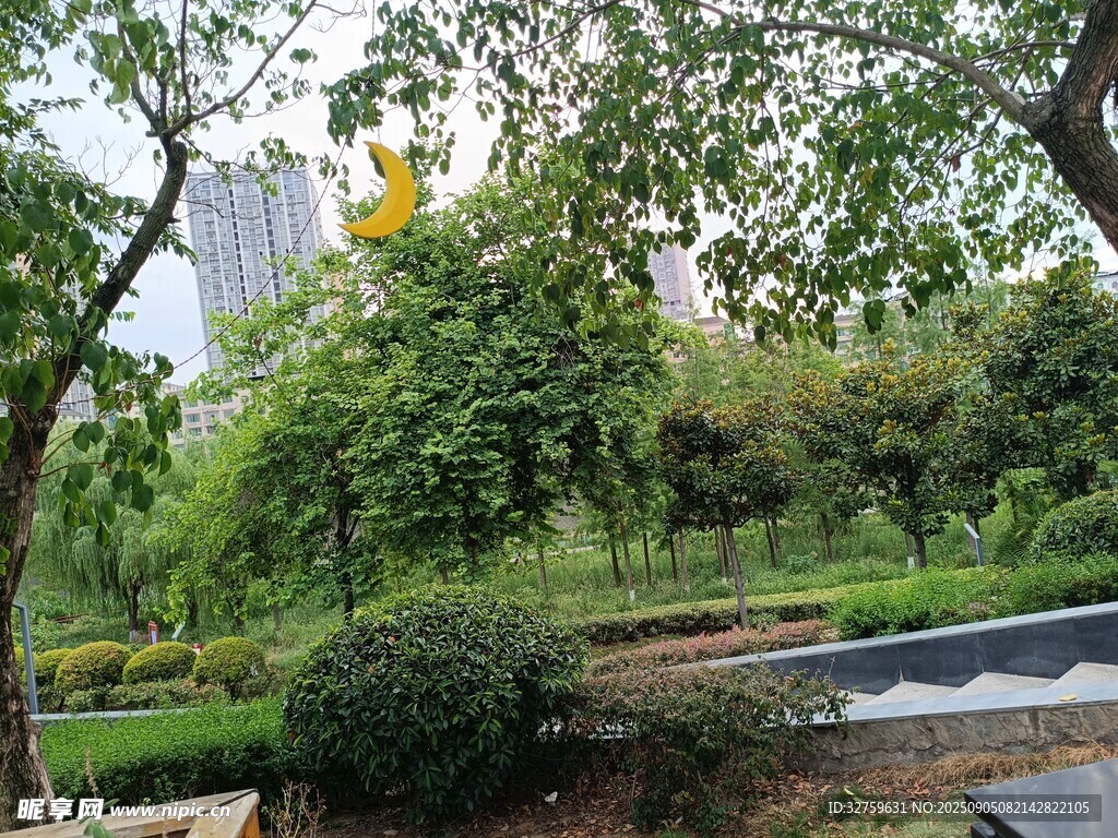 城市公園綠意盎然景致