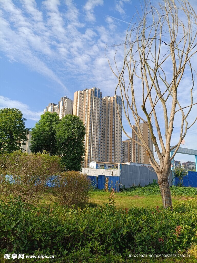城市綠地旁的高樓景觀