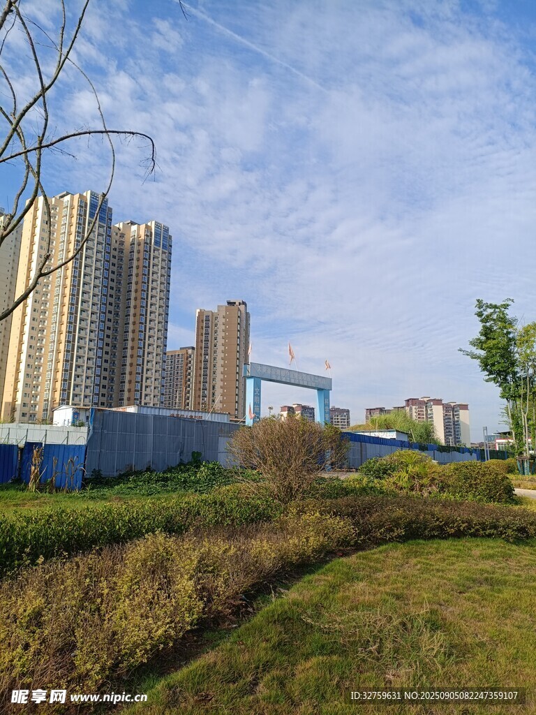 城市綠地旁的高樓景觀