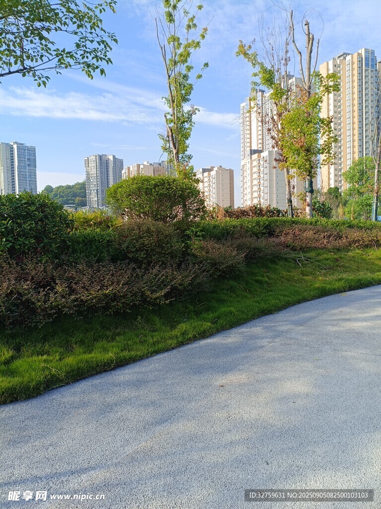 城市中的寧靜林蔭小道