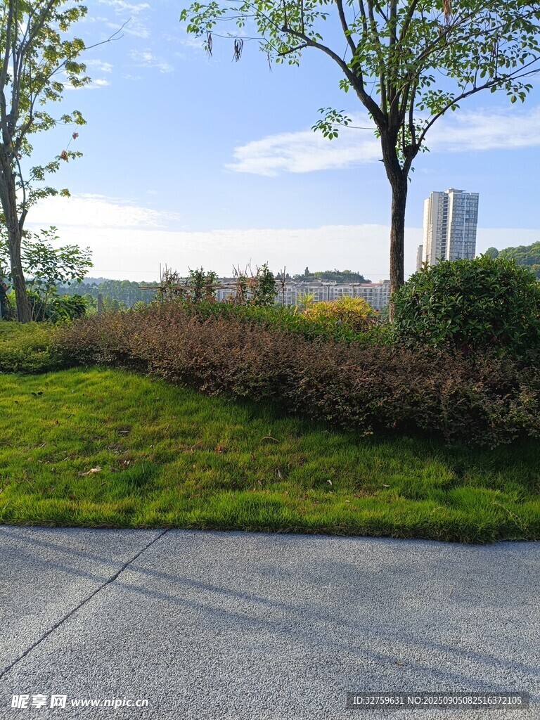 城市路邊綠意盎然景致