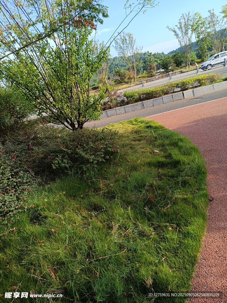 城市中的綠意小徑