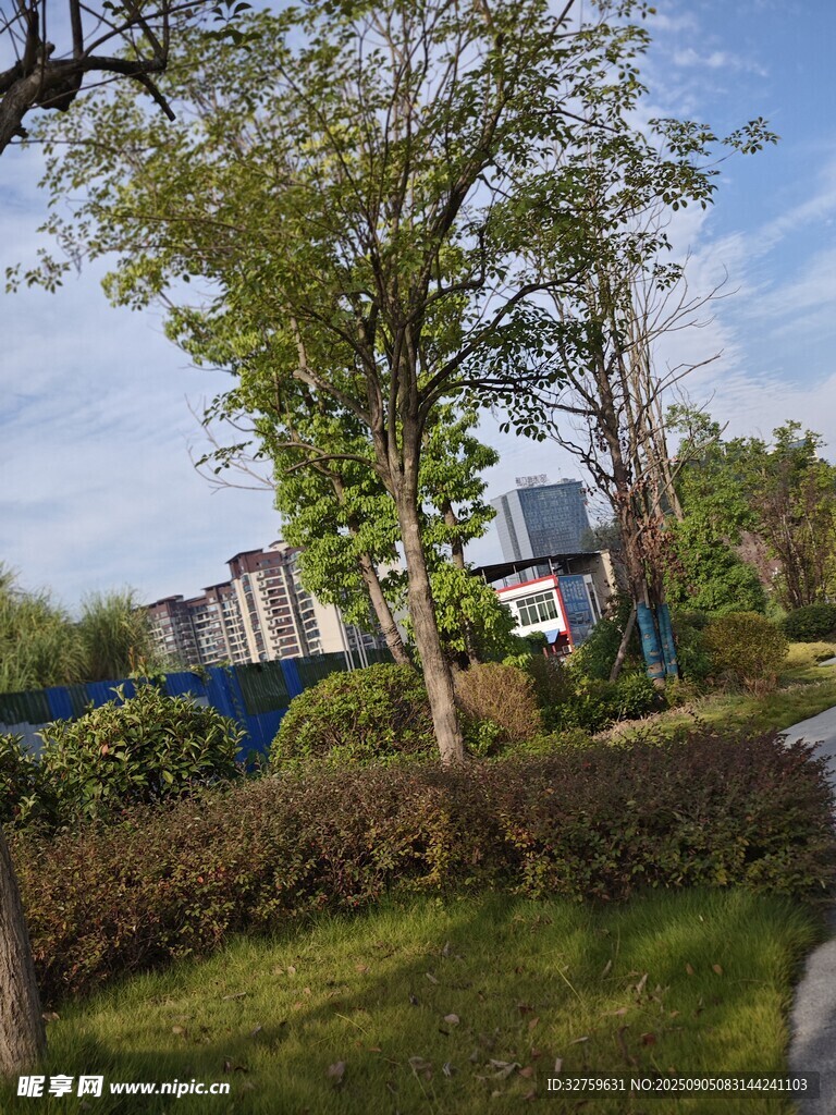 城市中的綠意盎然景觀