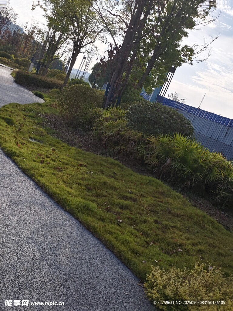 路邊綠意盎然的景觀草坪