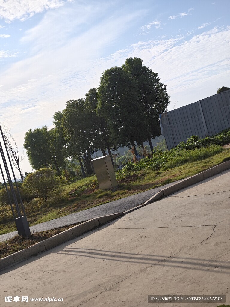 戶外道路旁的綠樹與建筑