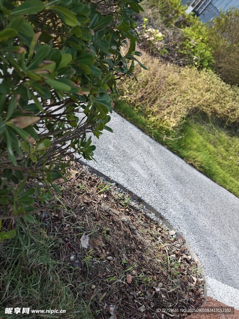 蜿蜒小徑旁綠植環(huán)繞