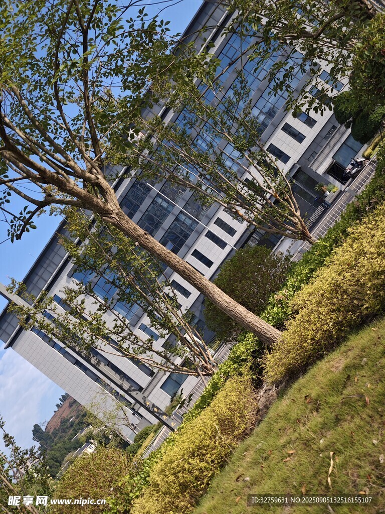 現(xiàn)代建筑旁的綠植景觀