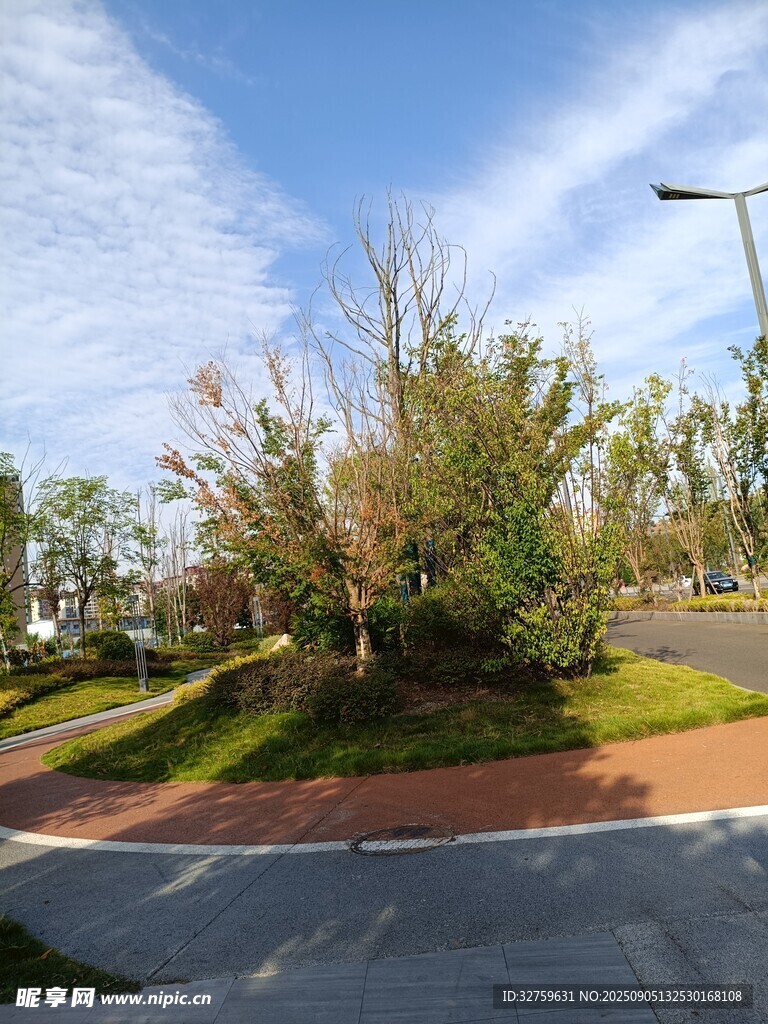 城市街邊綠意盎然景致