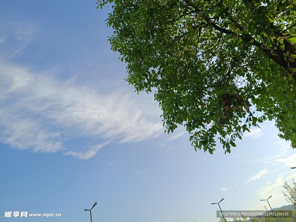 藍(lán)天綠樹間的風(fēng)力發(fā)電景