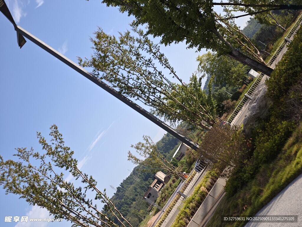 戶外綠樹藍(lán)天風(fēng)景圖
