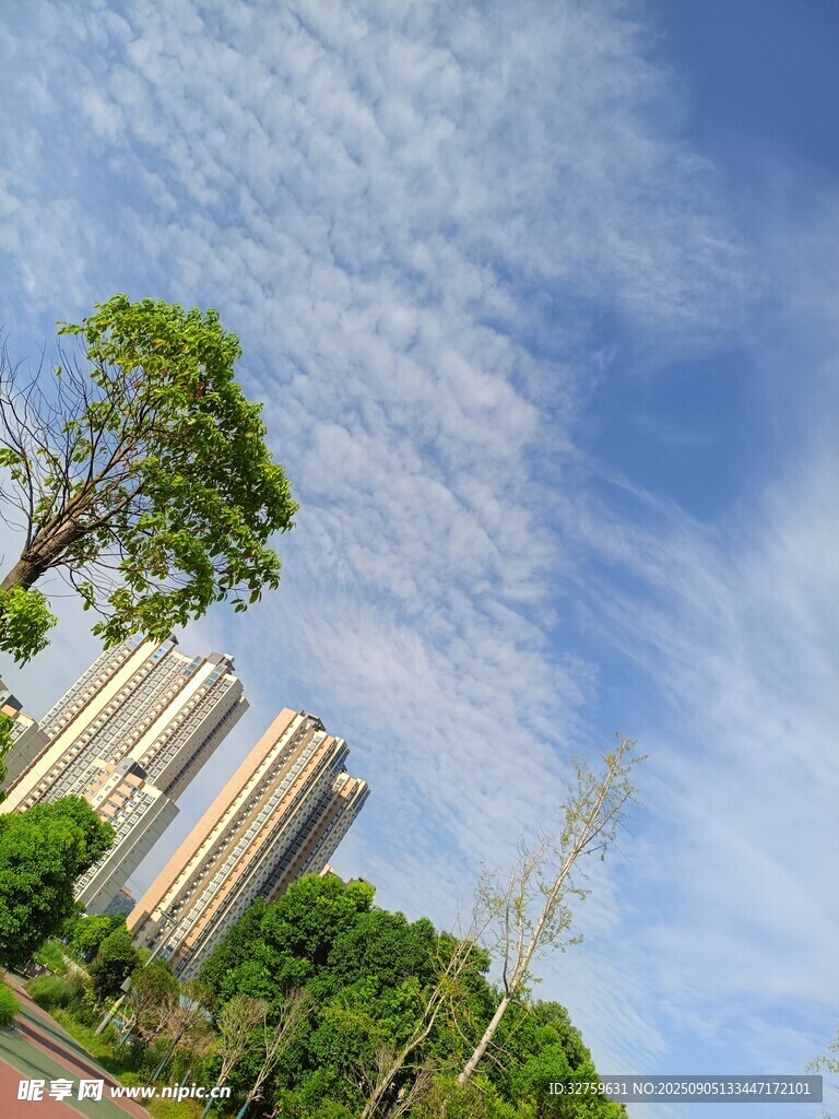 城市綠樹藍(lán)天高樓美景