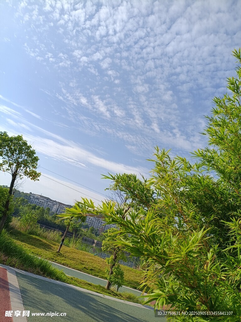 郊外綠意盎然的道路風景