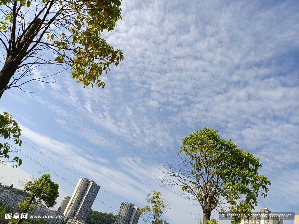 城市藍(lán)天綠樹風(fēng)景圖