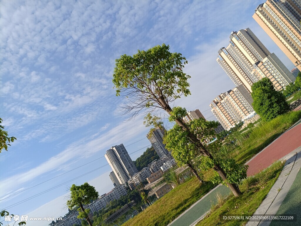 城市公園與高樓美景