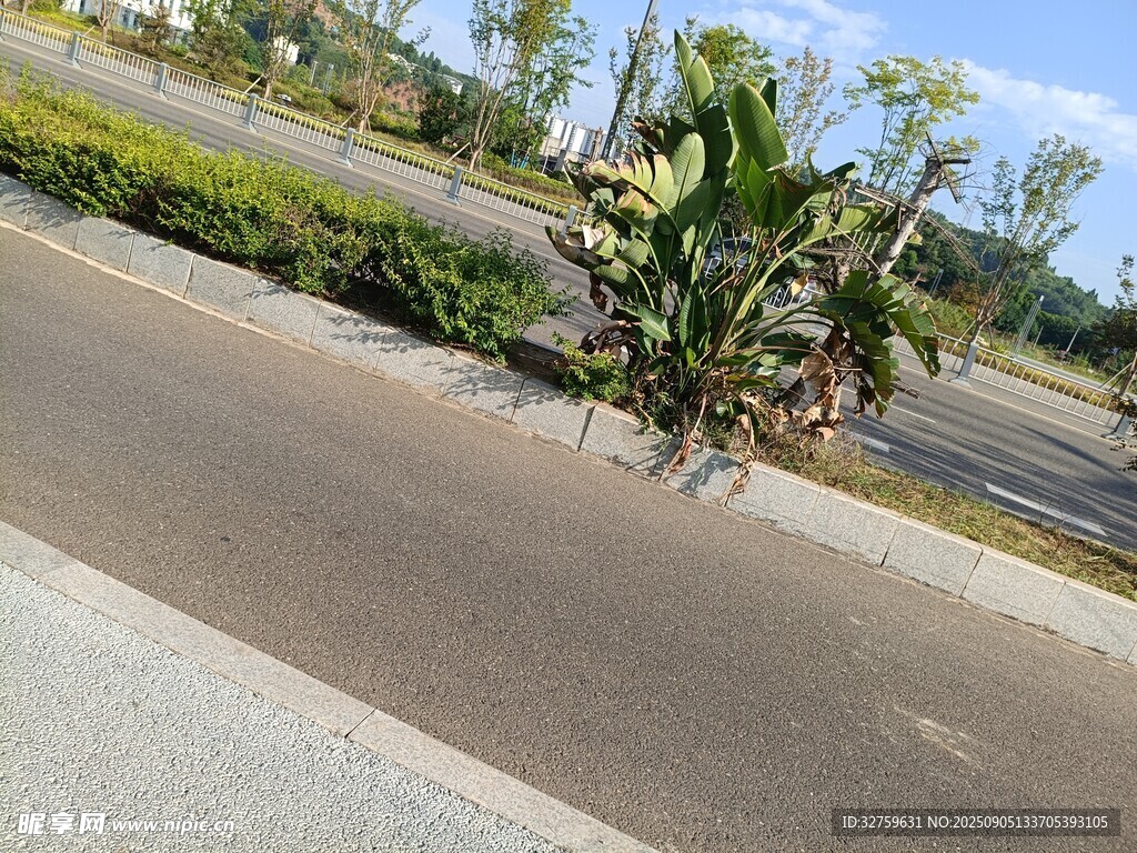 路邊綠植景觀