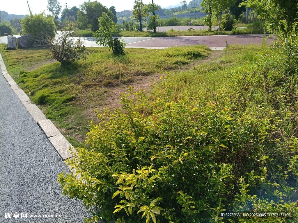 戶(hù)外道路旁的綠植景觀