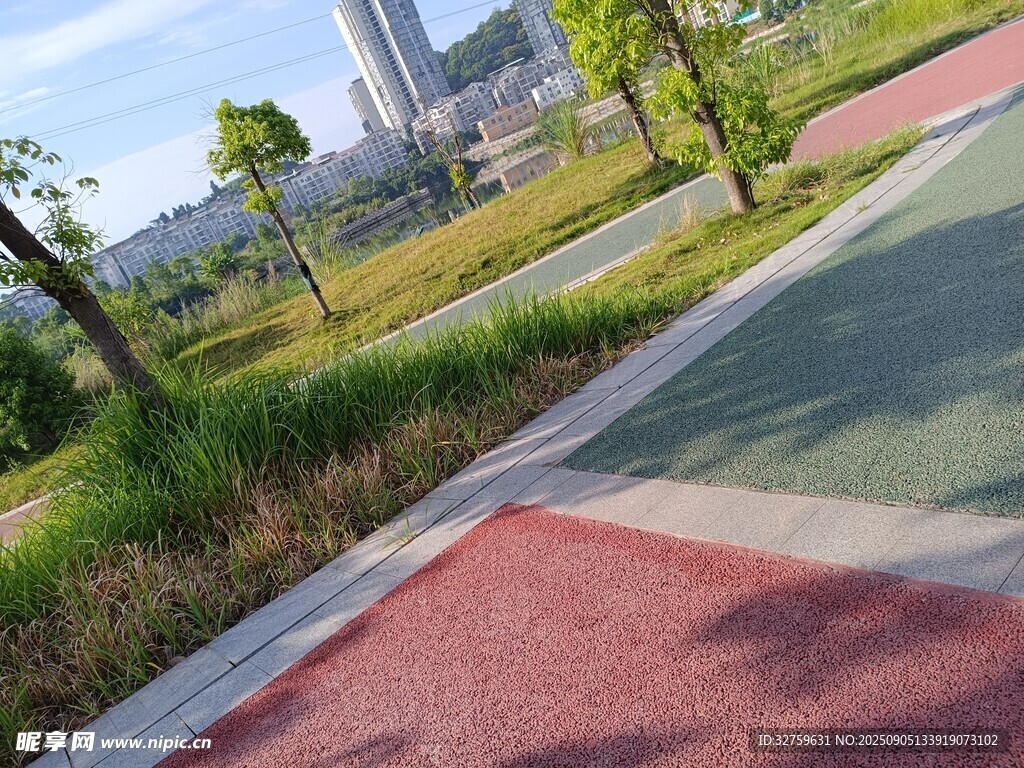 城市彩色步道旁的綠植景觀