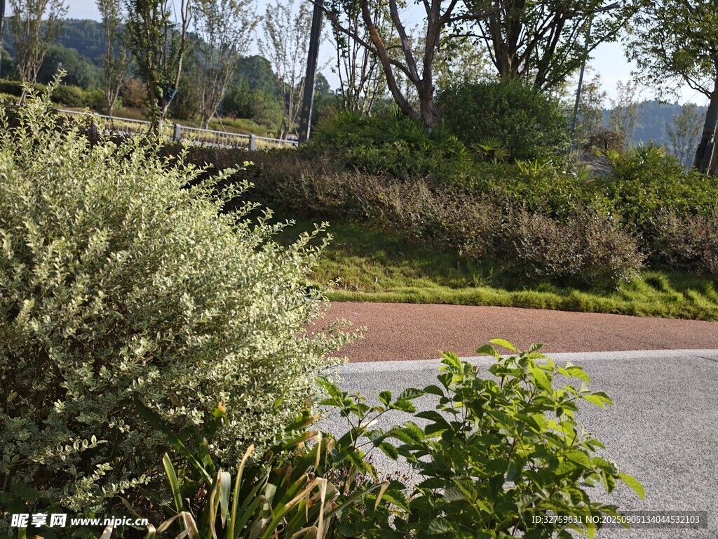 路邊綠植景觀