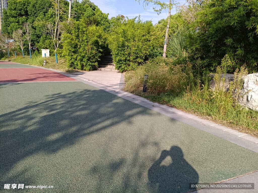 戶外綠蔭下的靜謐小道