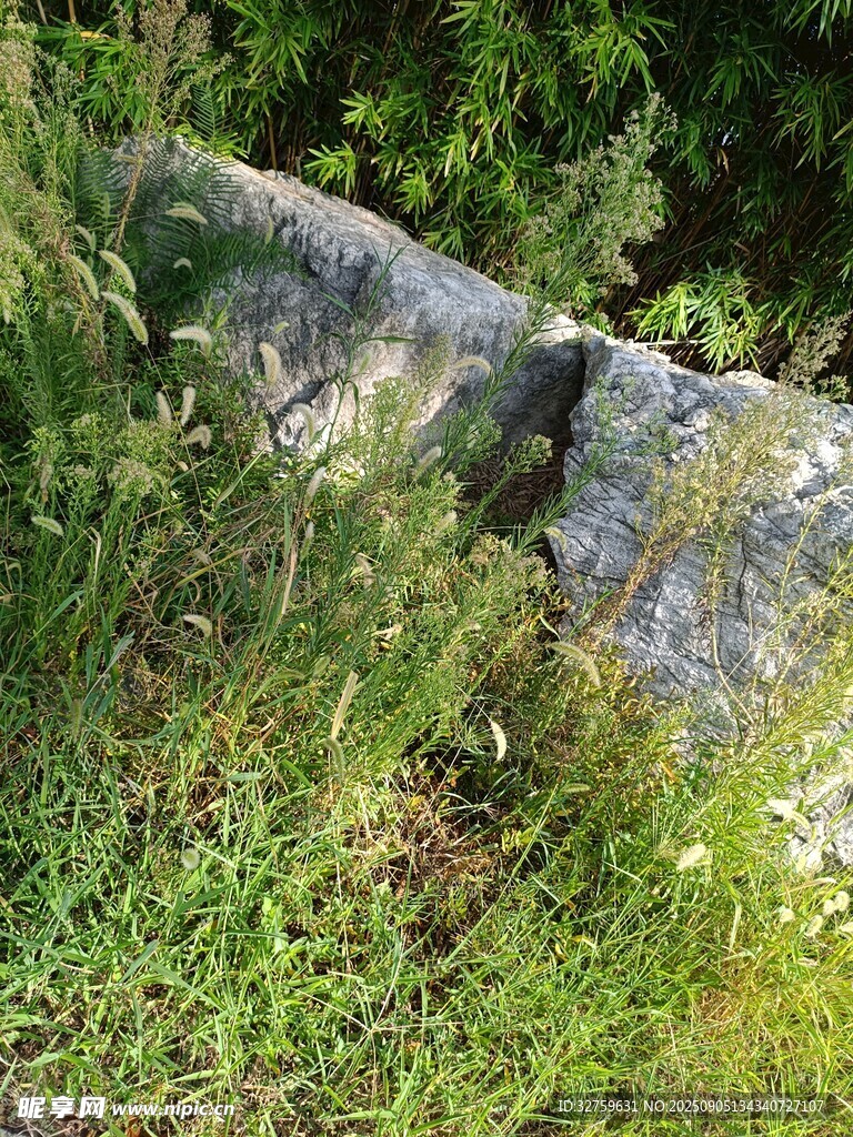 草叢中的石塊