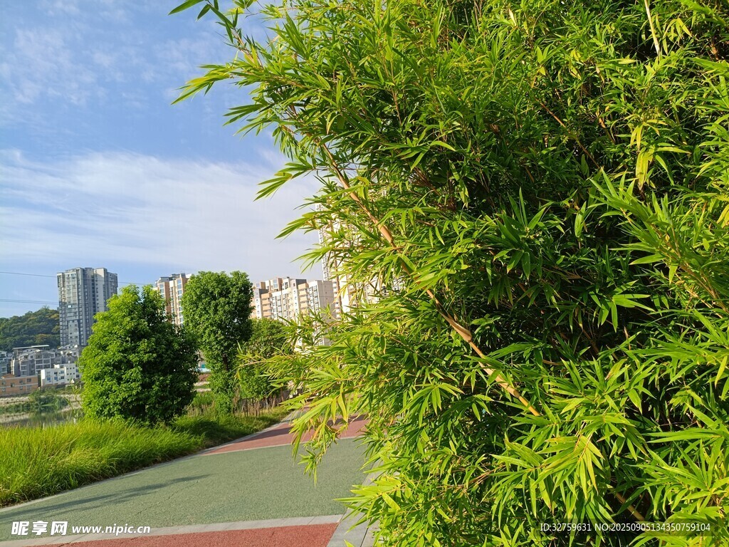 綠意環(huán)繞的戶外彩色步道