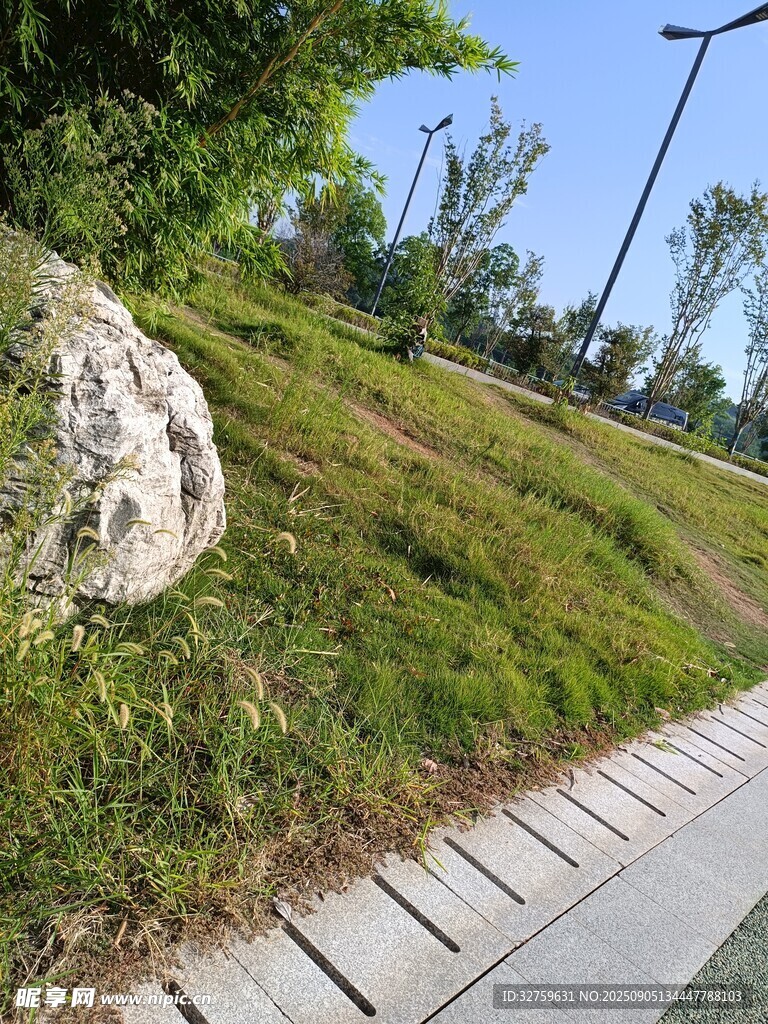 路邊草地與大石景觀
