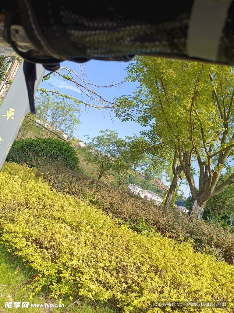 車窗外的綠意風景