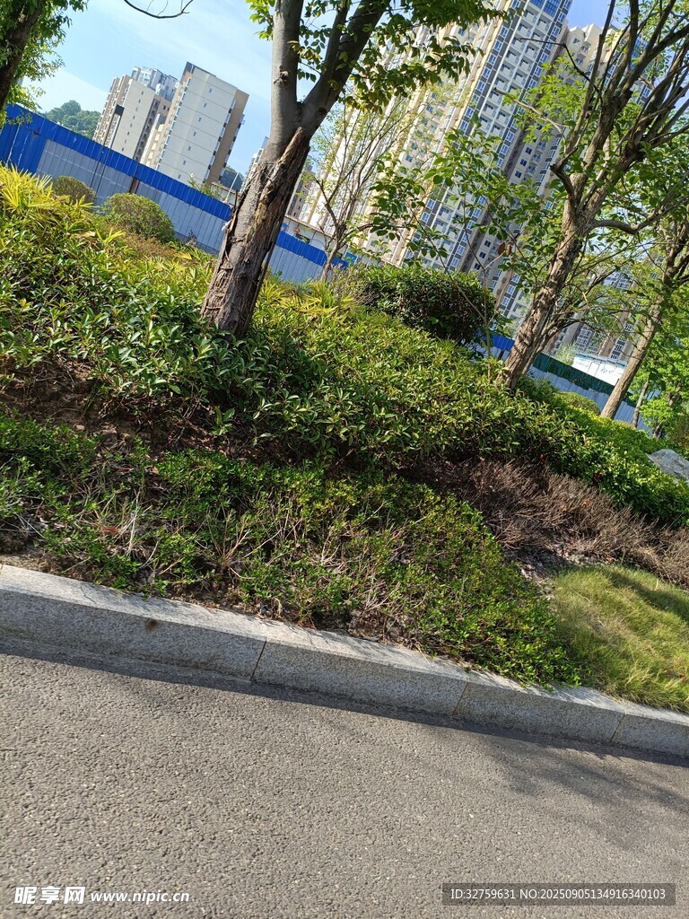 城市路邊綠植景觀